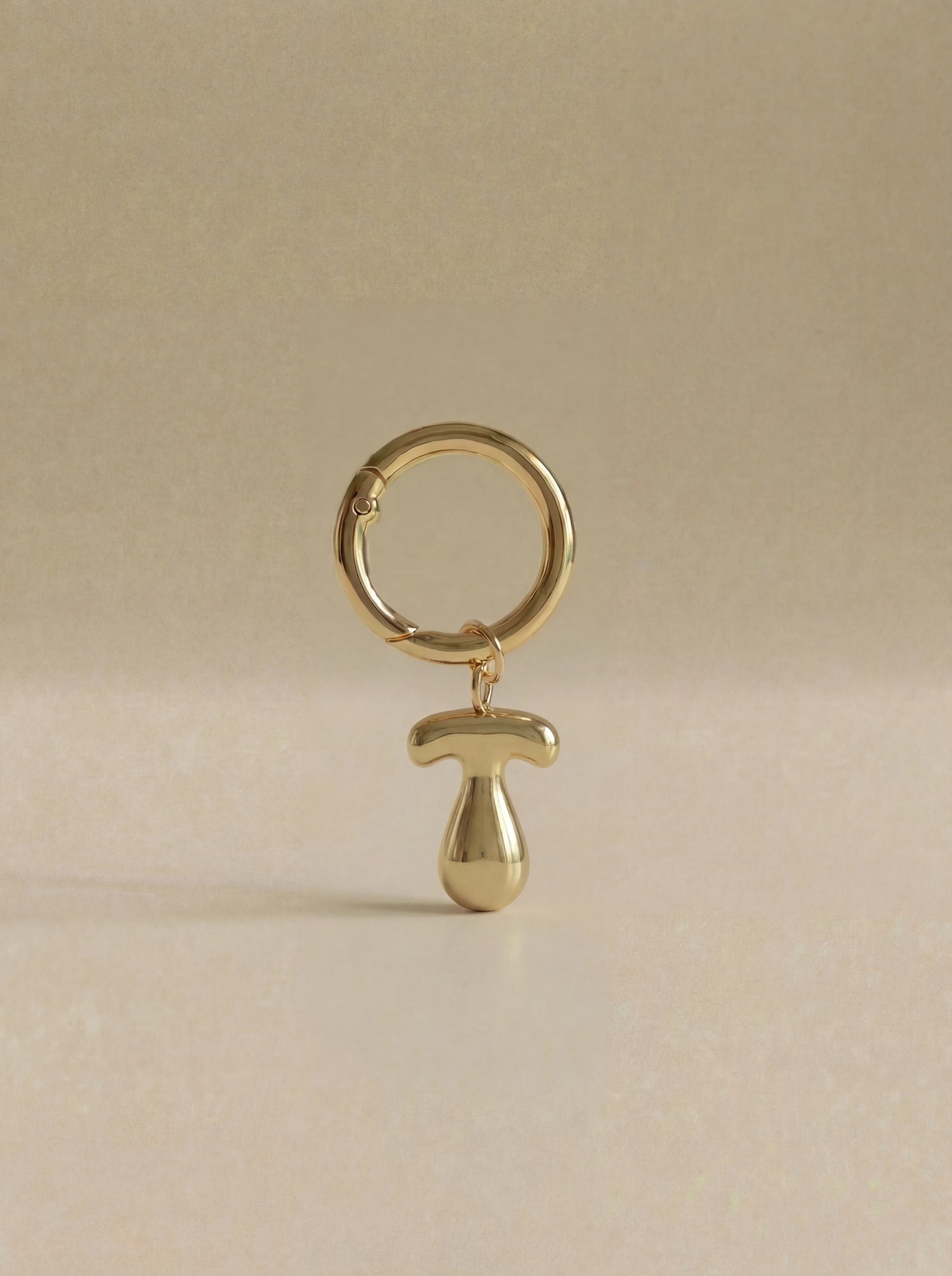 Gold charm in the letter 'T' attached to a gold keyring on beige background